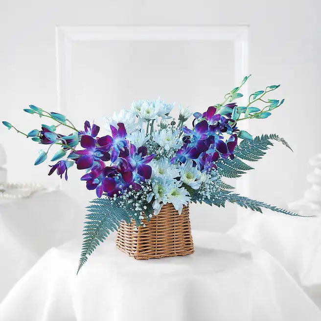 Florzo orchids and lilies collection